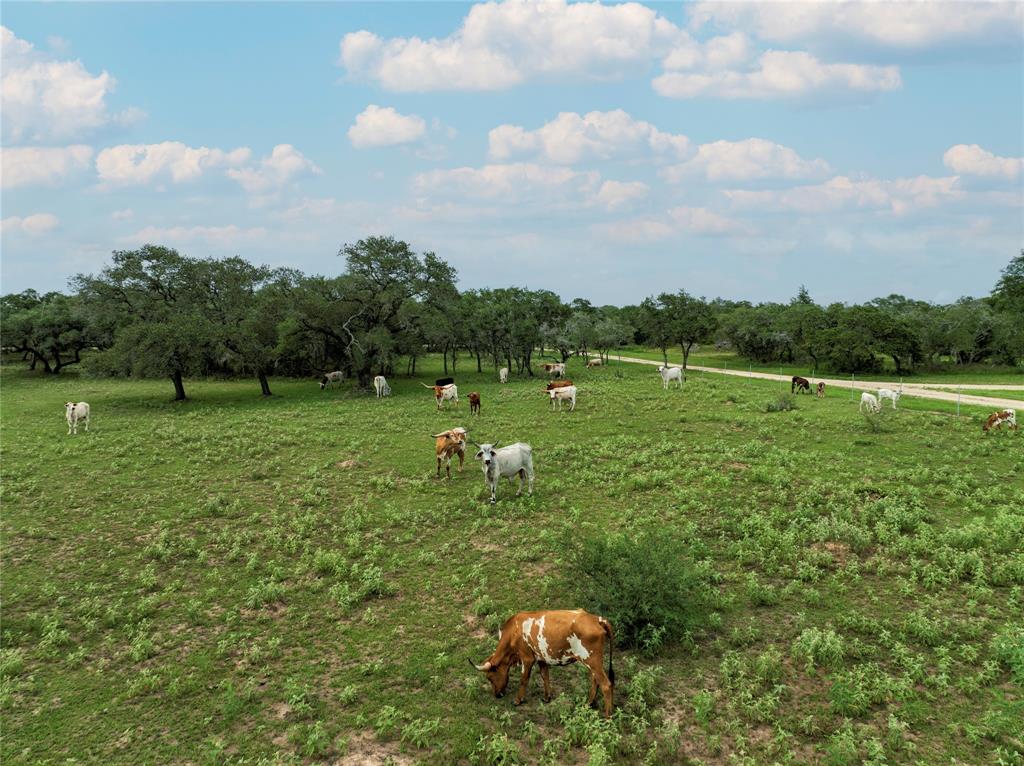 15545 State Highway 111, Yoakum, Texas image 42