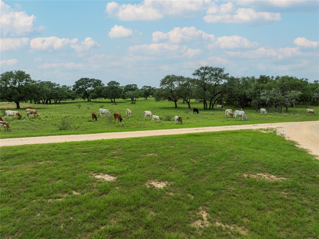 15545 State Highway 111, Yoakum, Texas image 5