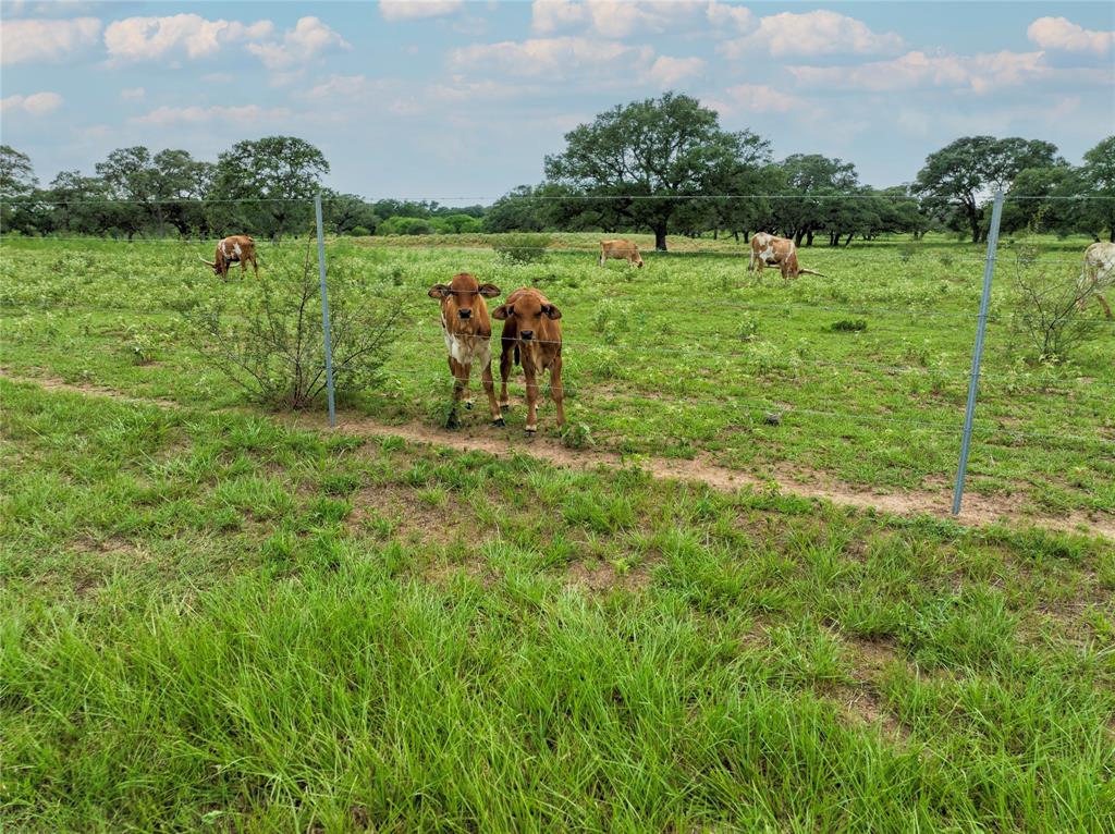 15545 State Highway 111, Yoakum, Texas image 43