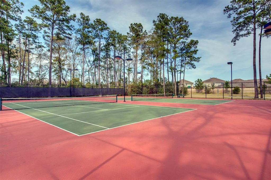 30319 Deleon Fields Drive, Spring, Texas image 31