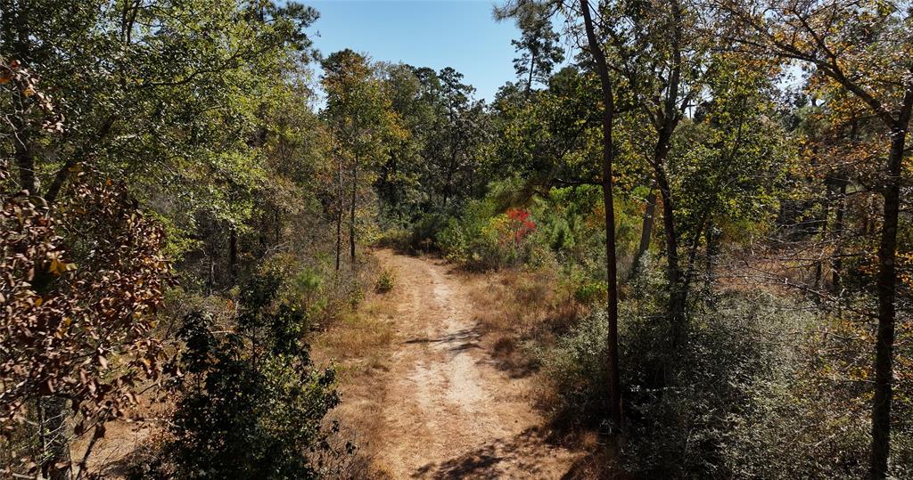 000 Tbd Parrish Trail, Montgomery, Texas image 1