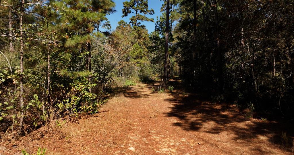 000 Tbd Parrish Trail, Montgomery, Texas image 3