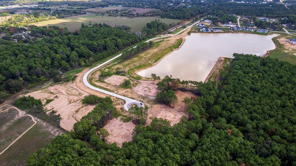10 Dashingly Ct Ct, Tomball, Texas image 2