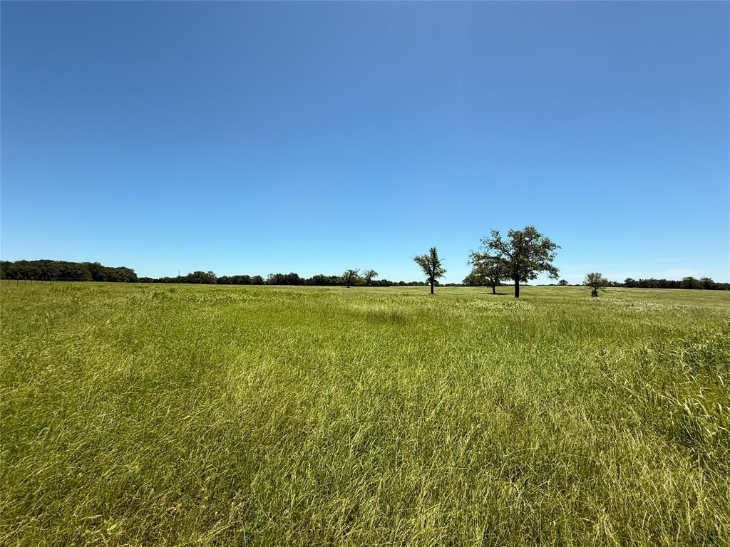 TBD 35 Acres Fm 2547, Fairfield, Texas image 27