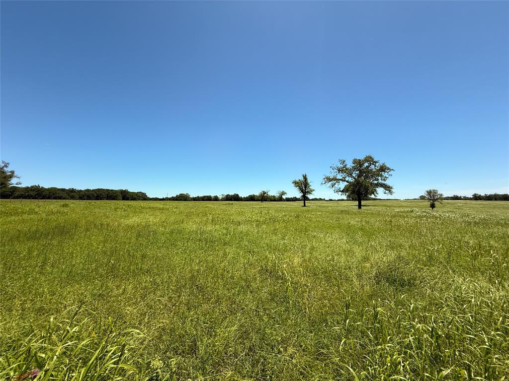 TBD 35 Acres Fm 2547, Fairfield, Texas image 28