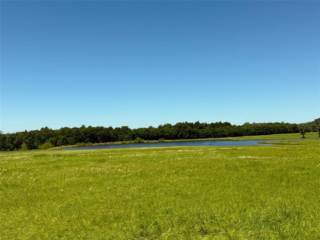 TBD 35 Acres Fm 2547, Fairfield, Texas image 8
