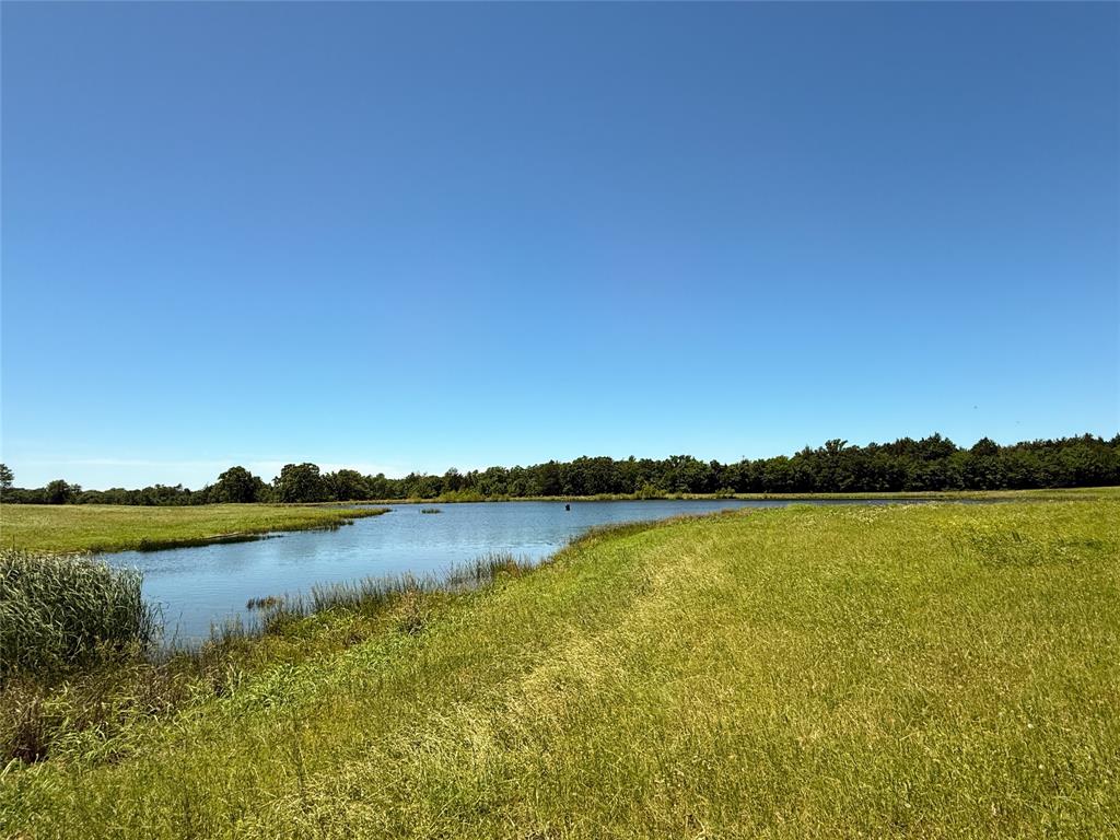 TBD 35 Acres Fm 2547, Fairfield, Texas image 21