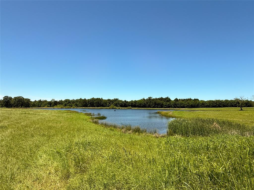 TBD 35 Acres Fm 2547, Fairfield, Texas image 20