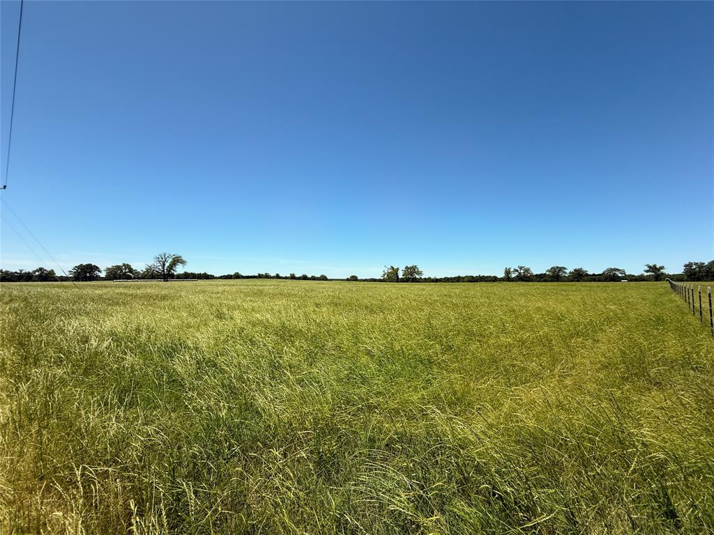 TBD 35 Acres Fm 2547, Fairfield, Texas image 16