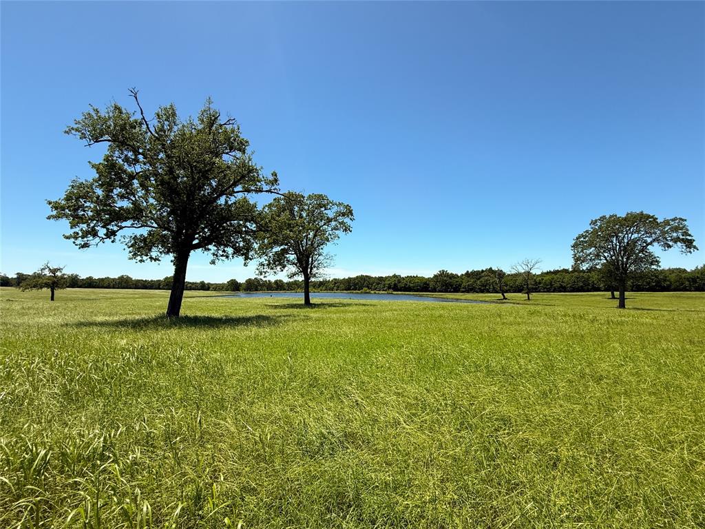 TBD 35 Acres Fm 2547, Fairfield, Texas image 29