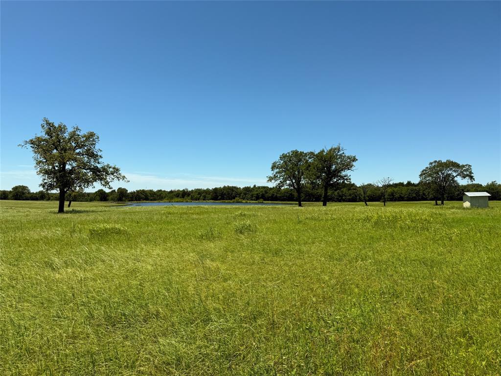 TBD 35 Acres Fm 2547, Fairfield, Texas image 32