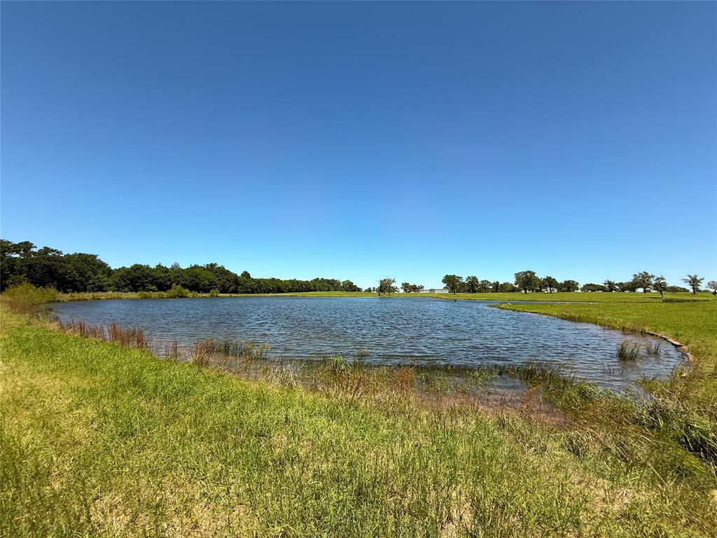 TBD 35 Acres Fm 2547, Fairfield, Texas image 4