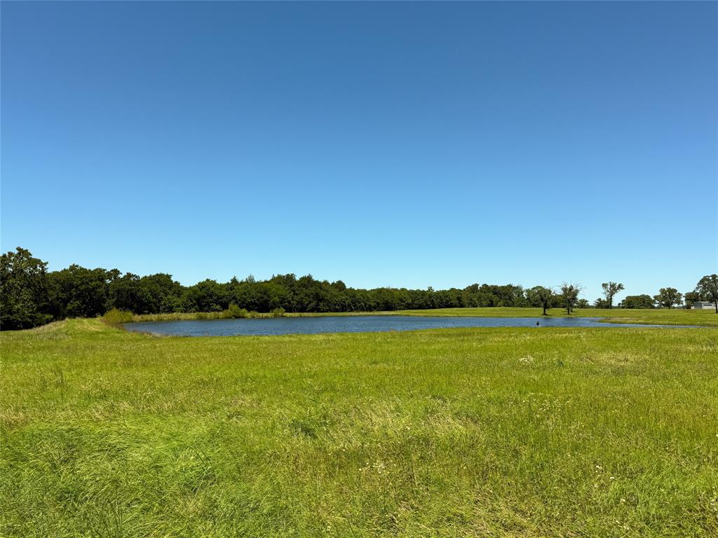 TBD 35 Acres Fm 2547, Fairfield, Texas image 7