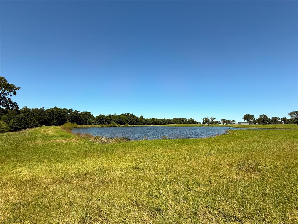 TBD 35 Acres Fm 2547, Fairfield, Texas image 1