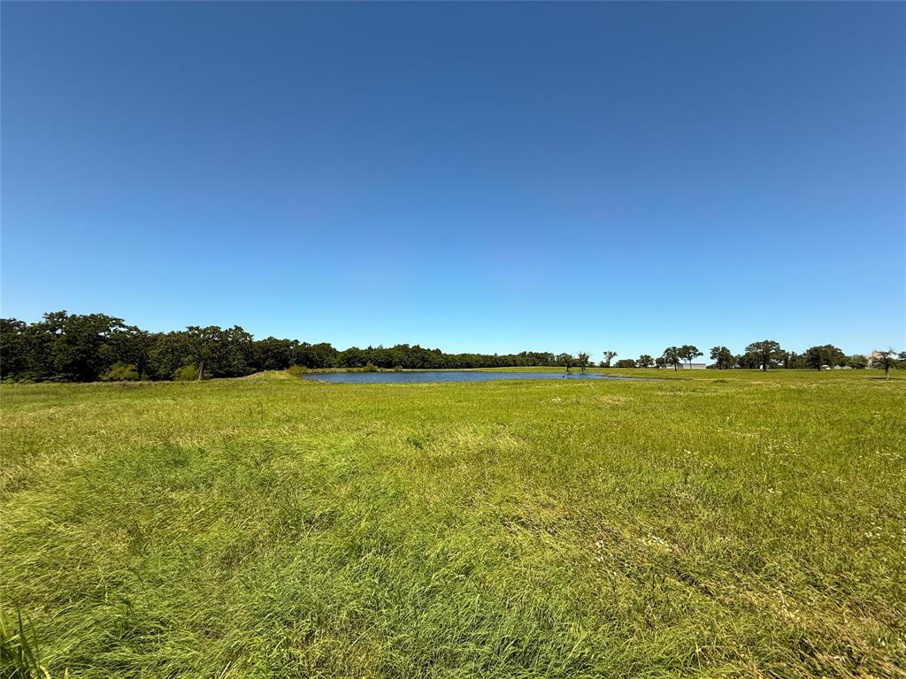 TBD 35 Acres Fm 2547, Fairfield, Texas image 18