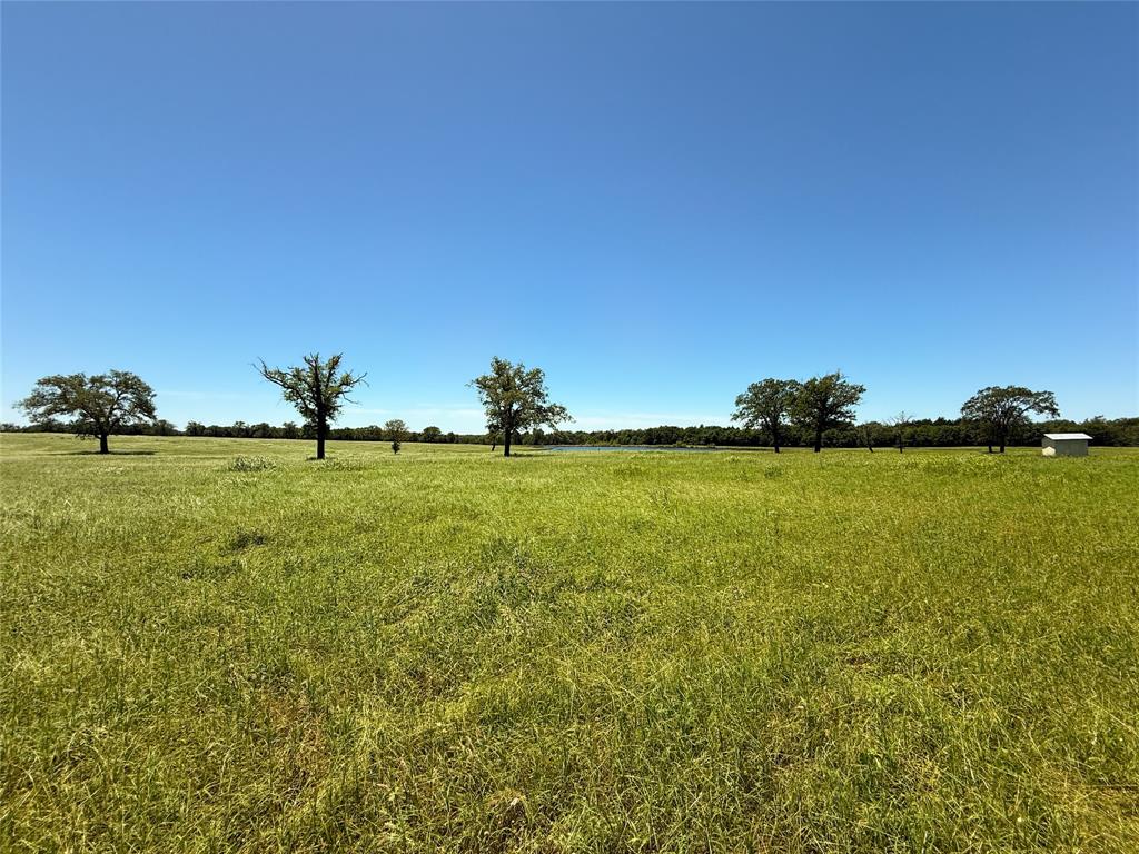TBD 35 Acres Fm 2547, Fairfield, Texas image 33