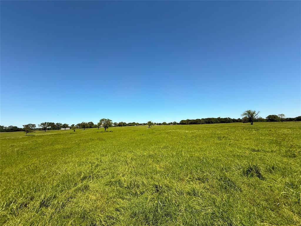 TBD 35 Acres Fm 2547, Fairfield, Texas image 17