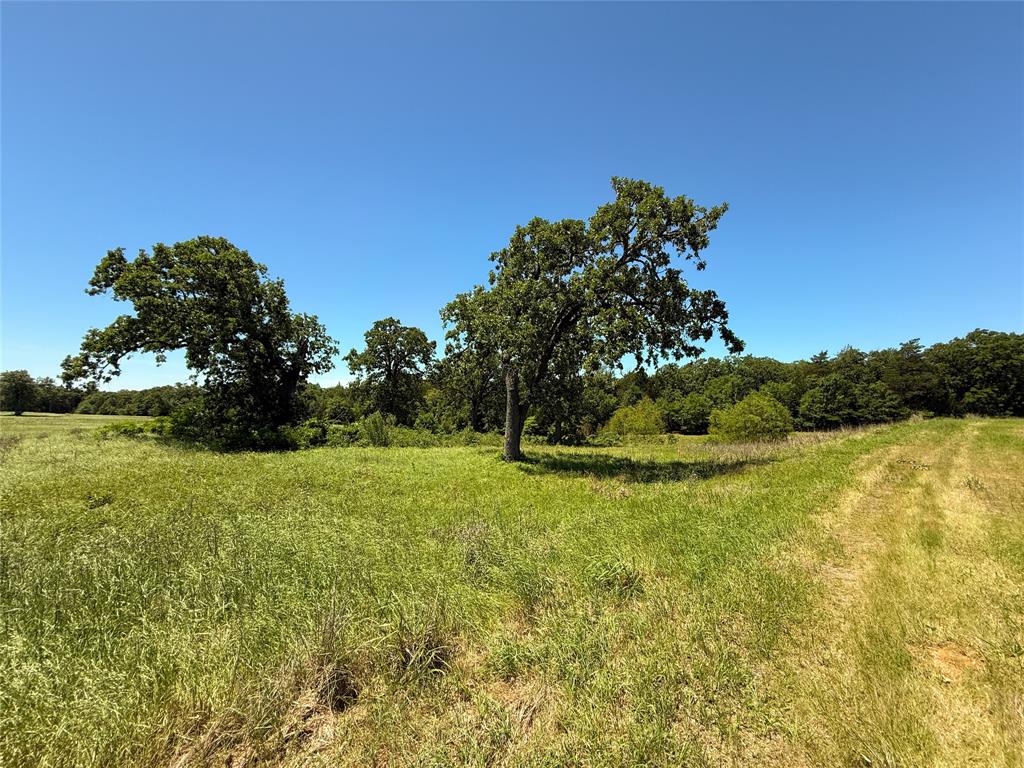 TBD 35 Acres Fm 2547, Fairfield, Texas image 15