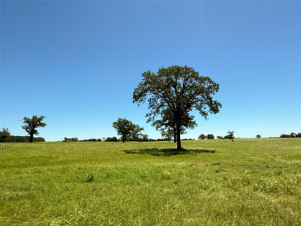TBD 35 Acres Fm 2547, Fairfield, Texas image 25