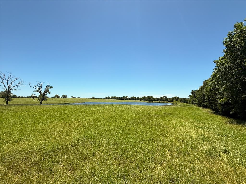 TBD 35 Acres Fm 2547, Fairfield, Texas image 23