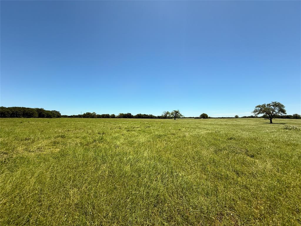TBD 35 Acres Fm 2547, Fairfield, Texas image 31