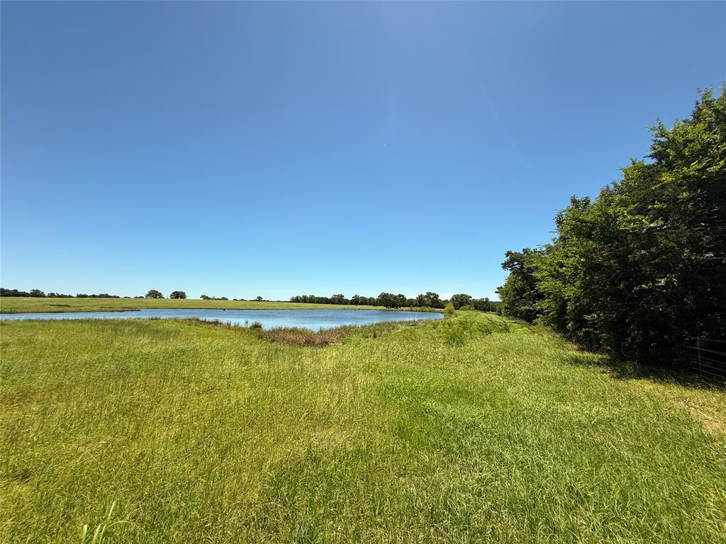 TBD 35 Acres Fm 2547, Fairfield, Texas image 24