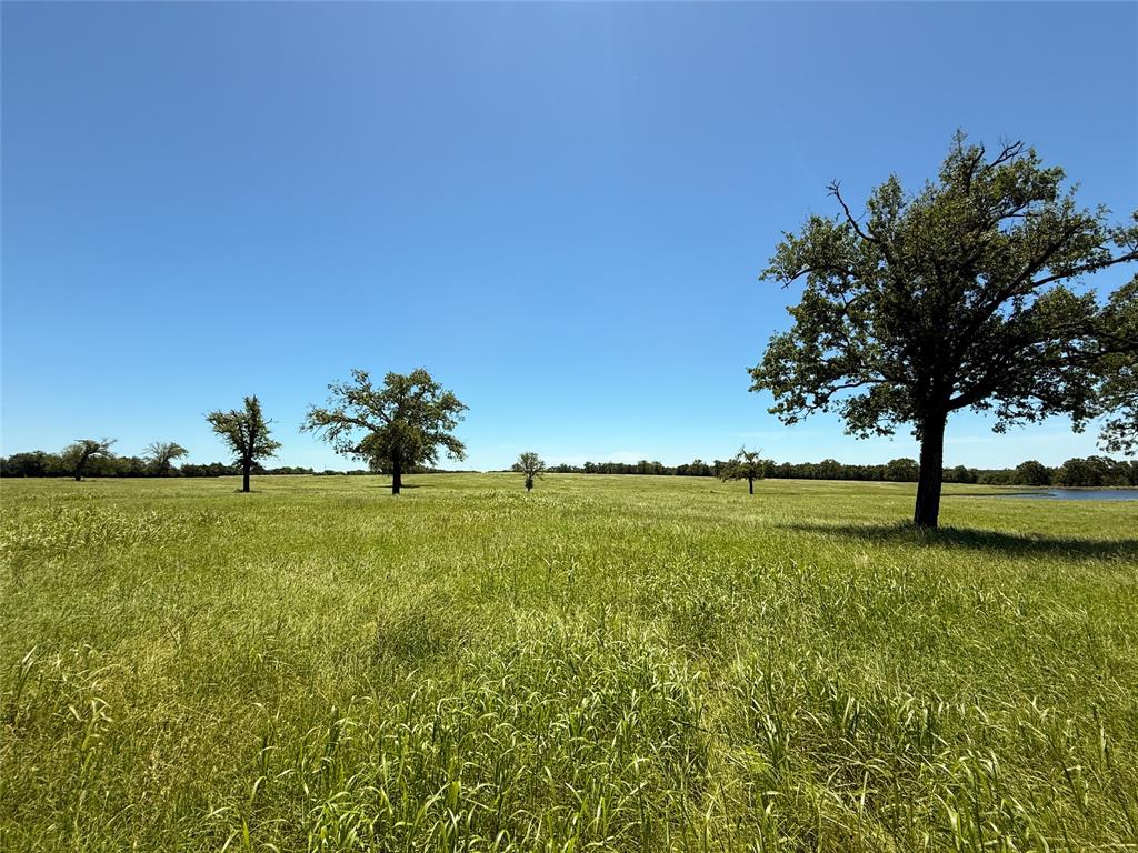 TBD 35 Acres Fm 2547, Fairfield, Texas image 30