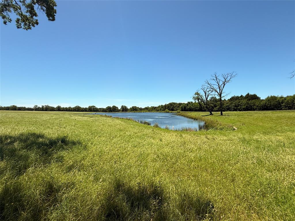 TBD 35 Acres Fm 2547, Fairfield, Texas image 22
