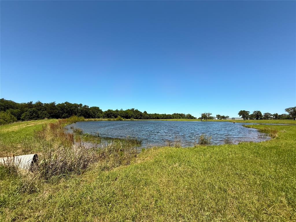 TBD 35 Acres Fm 2547, Fairfield, Texas image 10