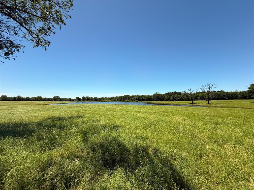TBD 35 Acres Fm 2547, Fairfield, Texas image 6