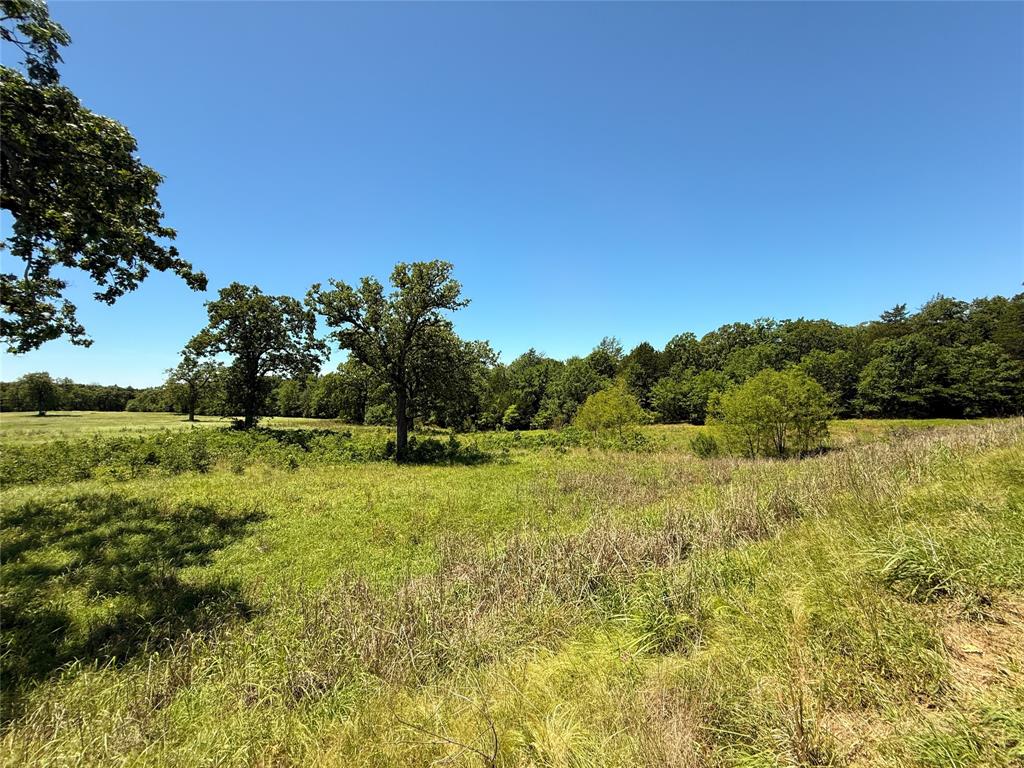 TBD 35 Acres Fm 2547, Fairfield, Texas image 19