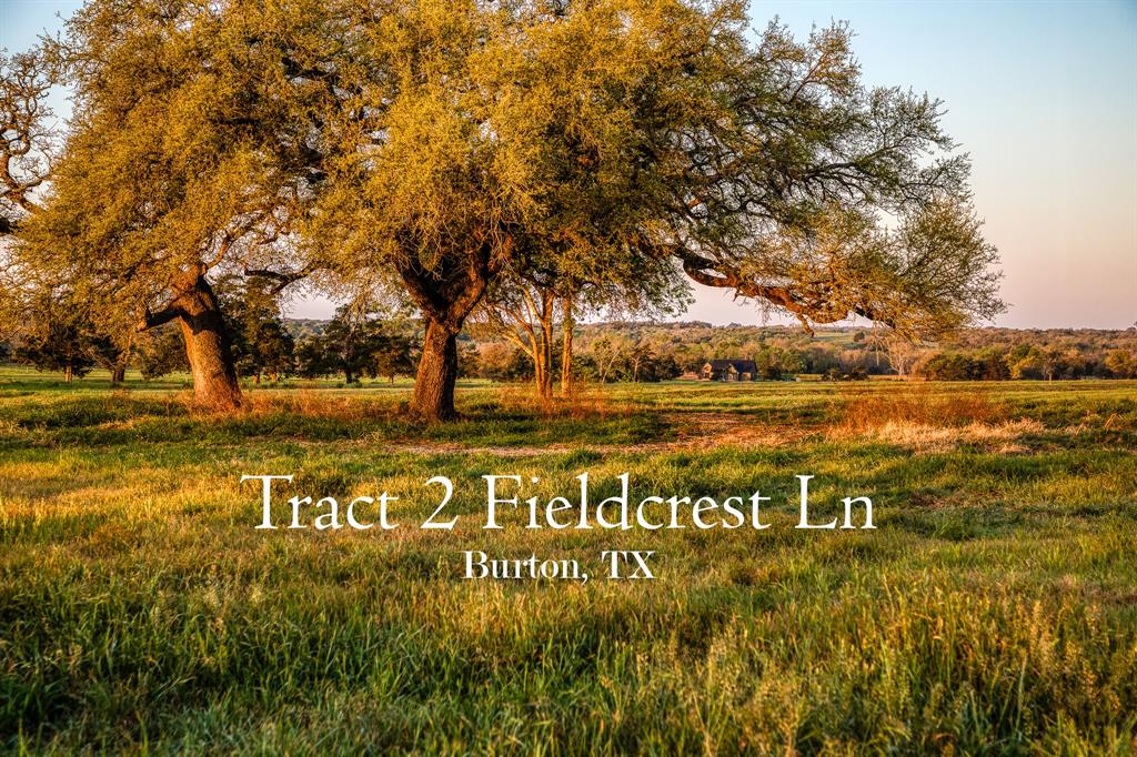 Tract 2 Fieldcrest Ln, Burton, Texas image 1