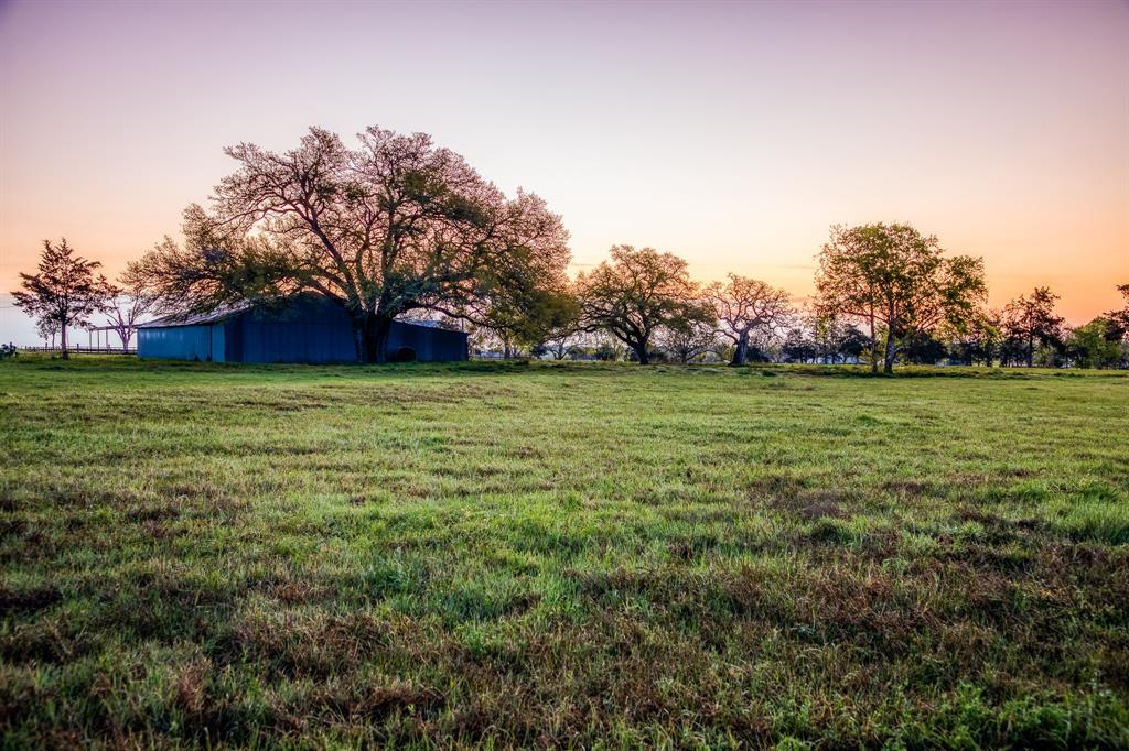Tract 2 Fieldcrest Ln, Burton, Texas image 2