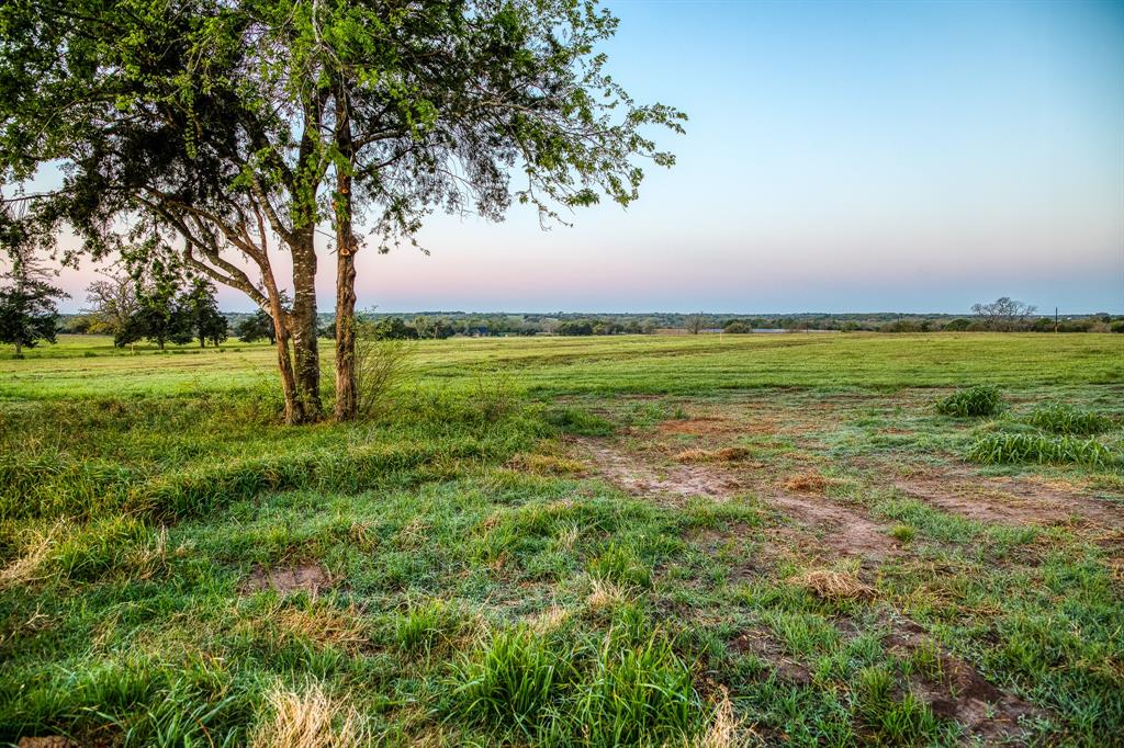 Tract 2 Fieldcrest Ln, Burton, Texas image 7