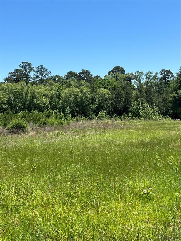 TBD Canopy Ridge, Crockett, Texas image 7