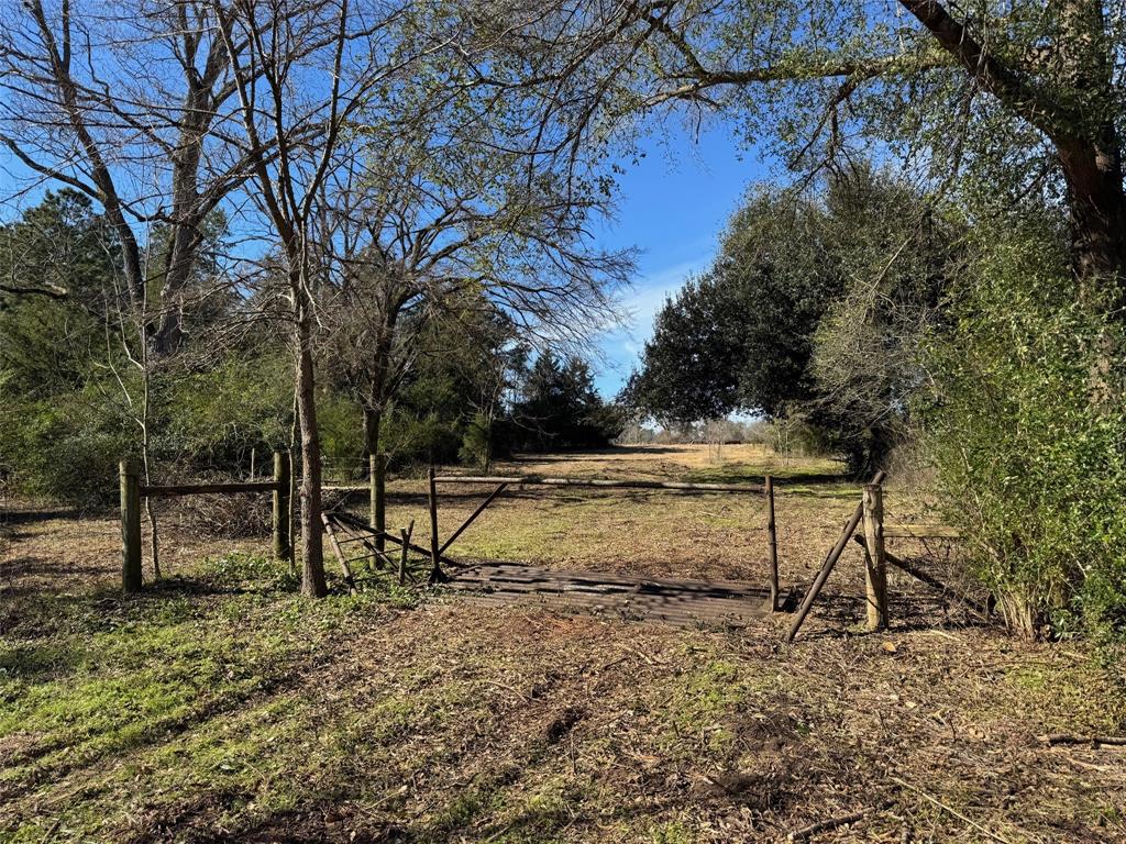 7365 Fm 2022, Grapeland, Texas image 8