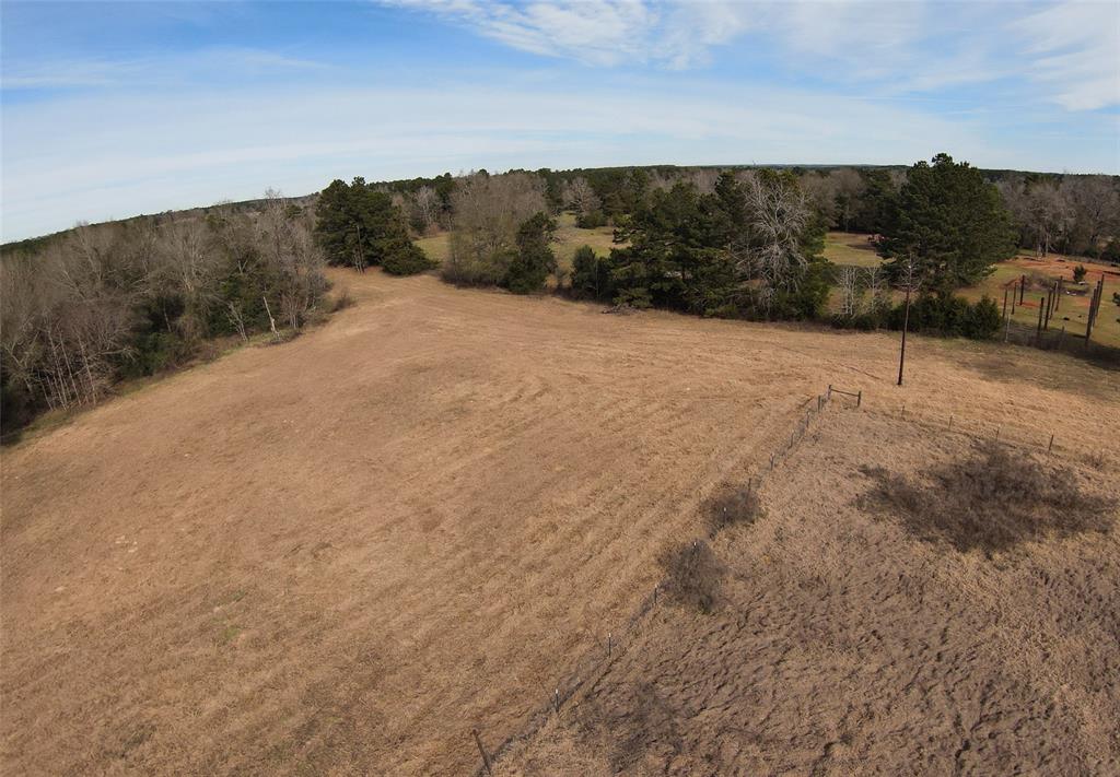 7365 Fm 2022, Grapeland, Texas image 12