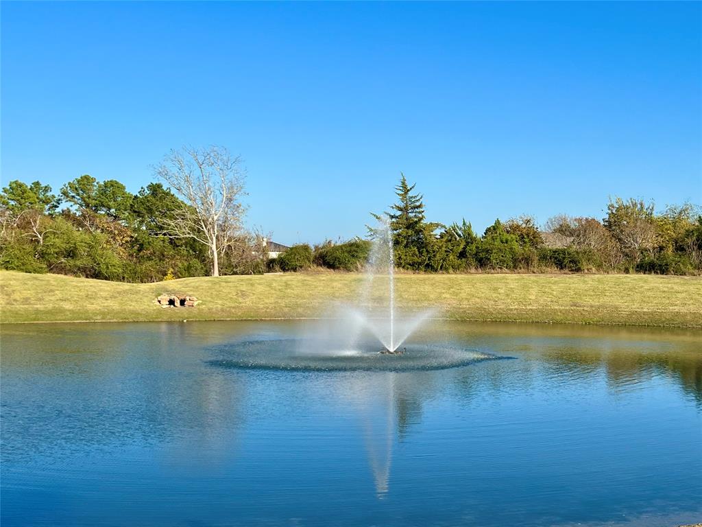 19093 Grandview Point, Montgomery, Texas image 9