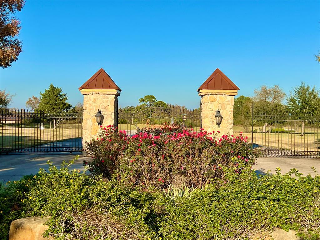 19093 Grandview Point, Montgomery, Texas image 8