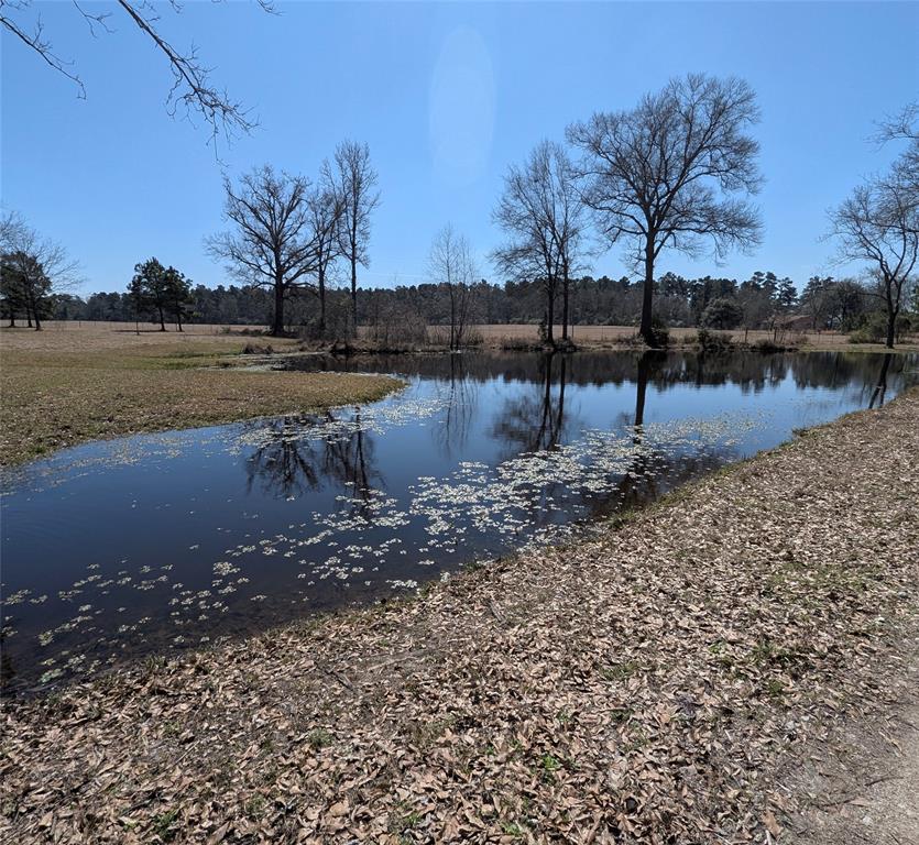 3902 Moore Cemetery Road, Groveton, Texas image 20