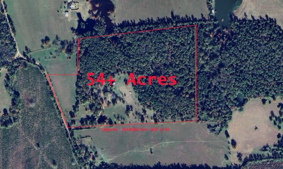 3902 Moore Cemetery Road, Groveton, Texas image 1