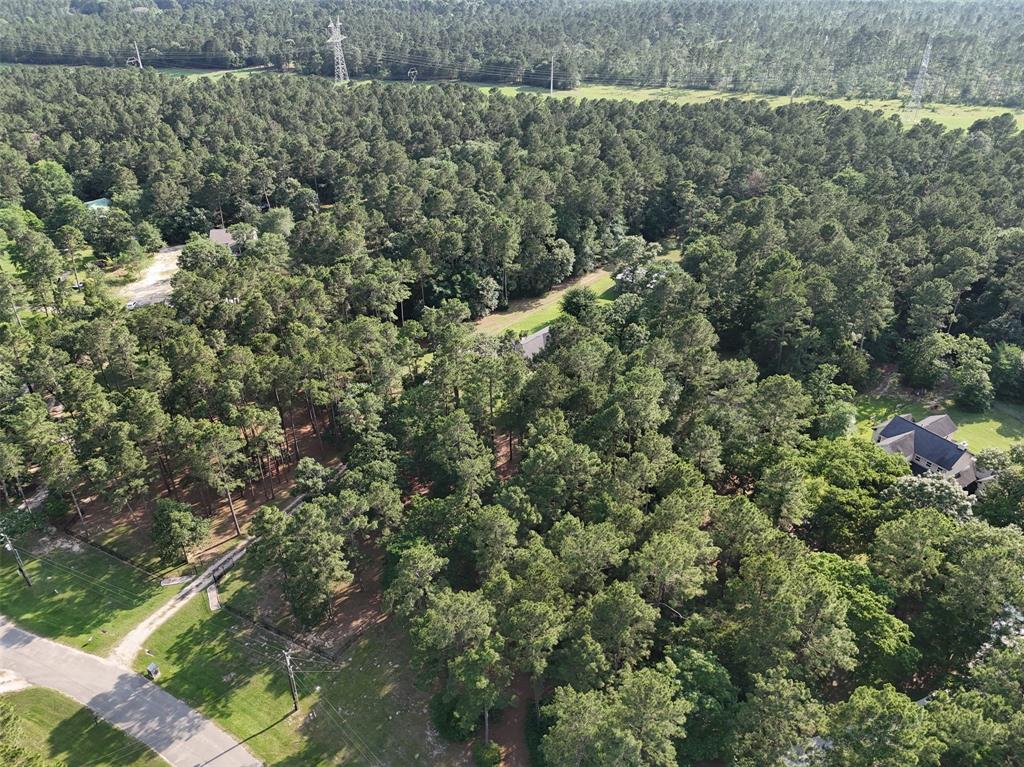 9025 Amelia Drive, Anderson, Texas image 39