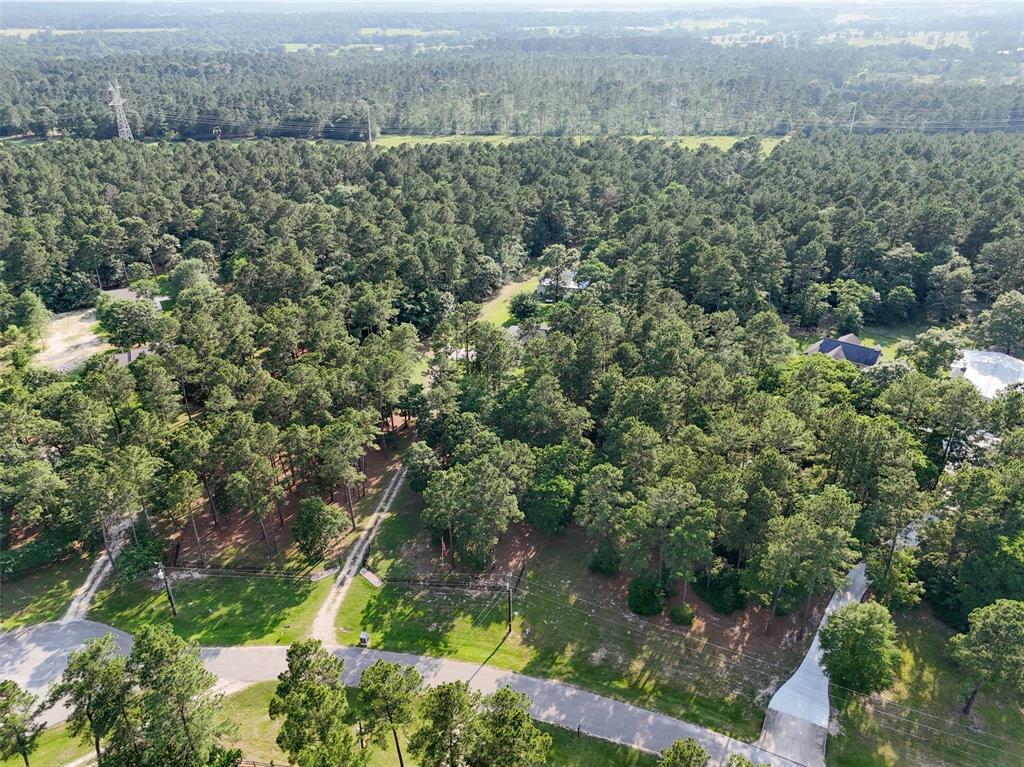 9025 Amelia Drive, Anderson, Texas image 38