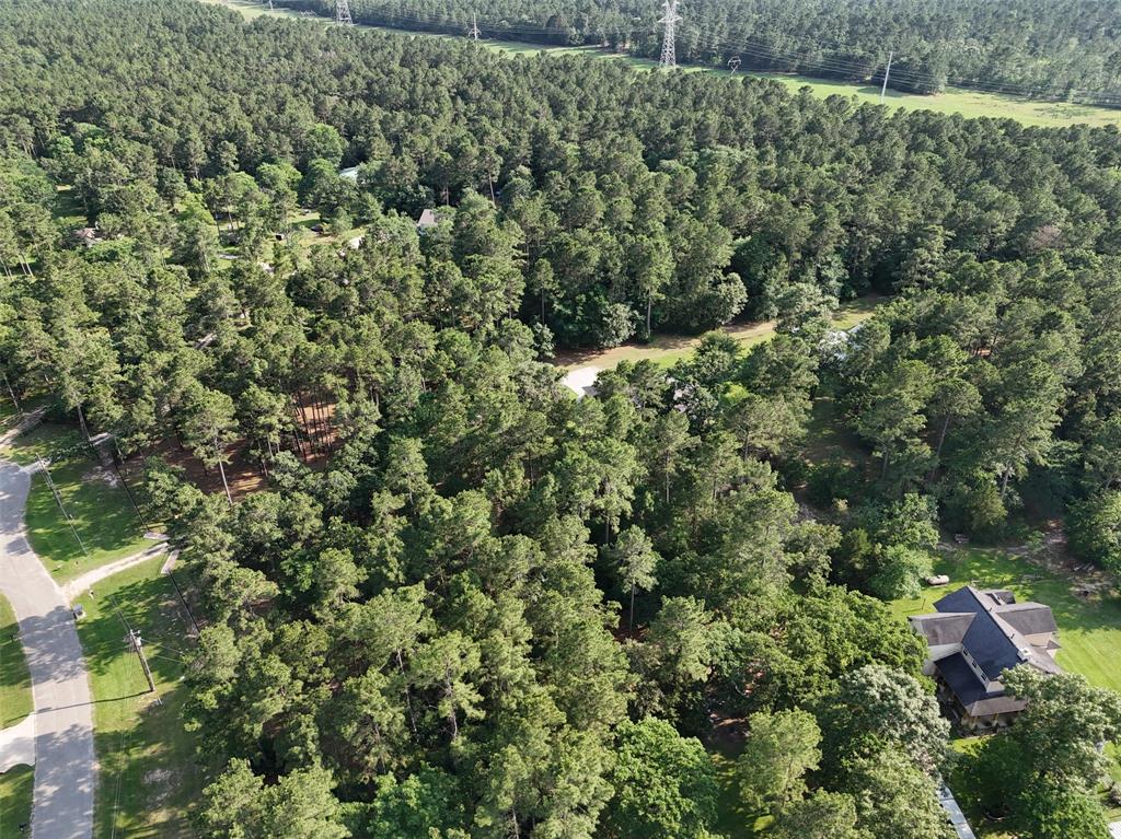9025 Amelia Drive, Anderson, Texas image 40