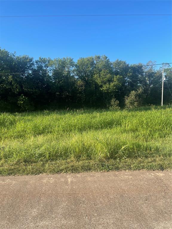 616 Pony Trail, Angleton, Texas image 2