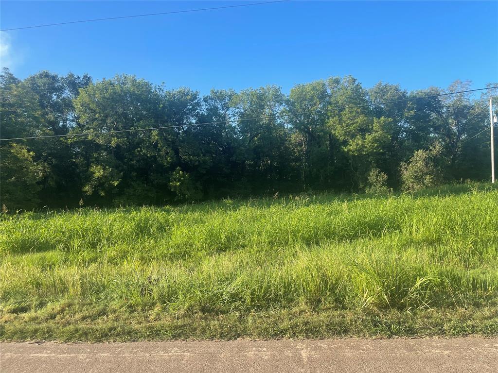 616 Pony Trail, Angleton, Texas image 1