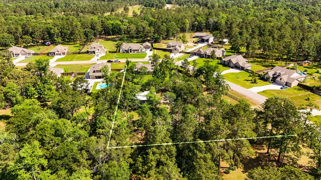 16070 Deer Pines Drive, Conroe, Texas image 45
