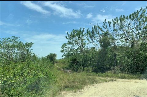 Photo of TBD E15 Lagarto - Vainilla, Other, NA (MLS # 33347128)