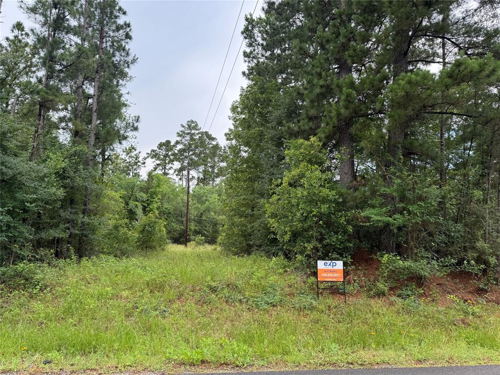 Tract A Lake Road, Riverside, Texas image 7