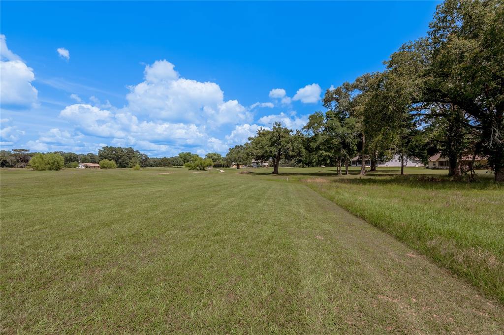 Lot 14 Galveston Lane, Trinity, Texas image 8